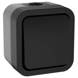 Выключатель кнопочный 1-кл. ОП TORS TS110 10А IP55 графит IEK TS-V14-0-10-55-K53